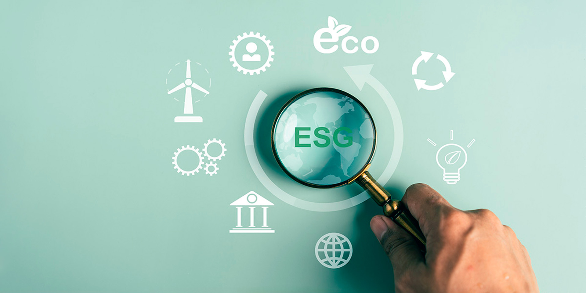 The Importance of ESG